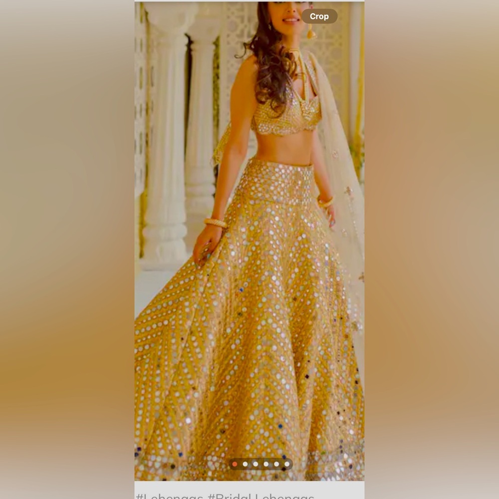 Abhinav mishra  lehanga lehnga lehenga original Gold Embellished Skirt lehenga